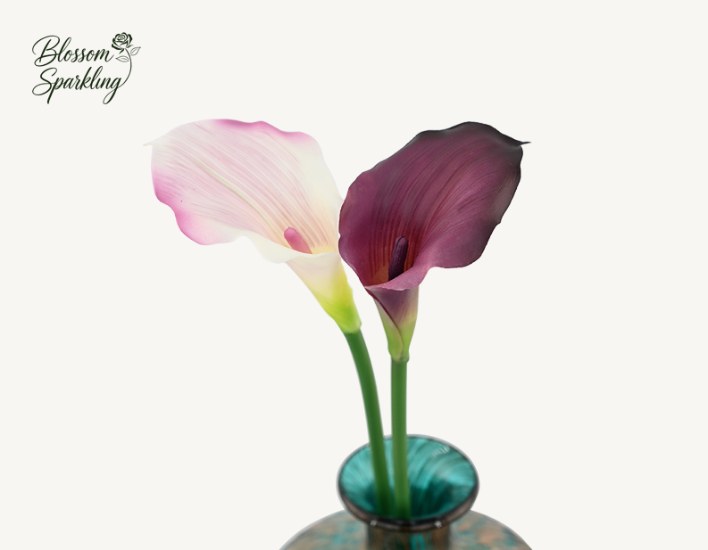 Mini Calla Lily